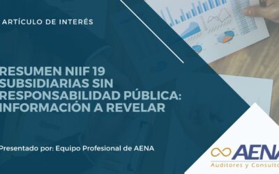 RESUMEN NIIF 19: Subsidiarias sin Responsabilidad Pública: Información a Revelar