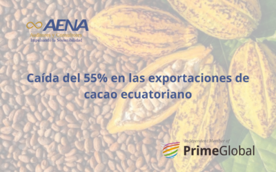 Caída del 55% en las exportaciones de cacao ecuatoriano